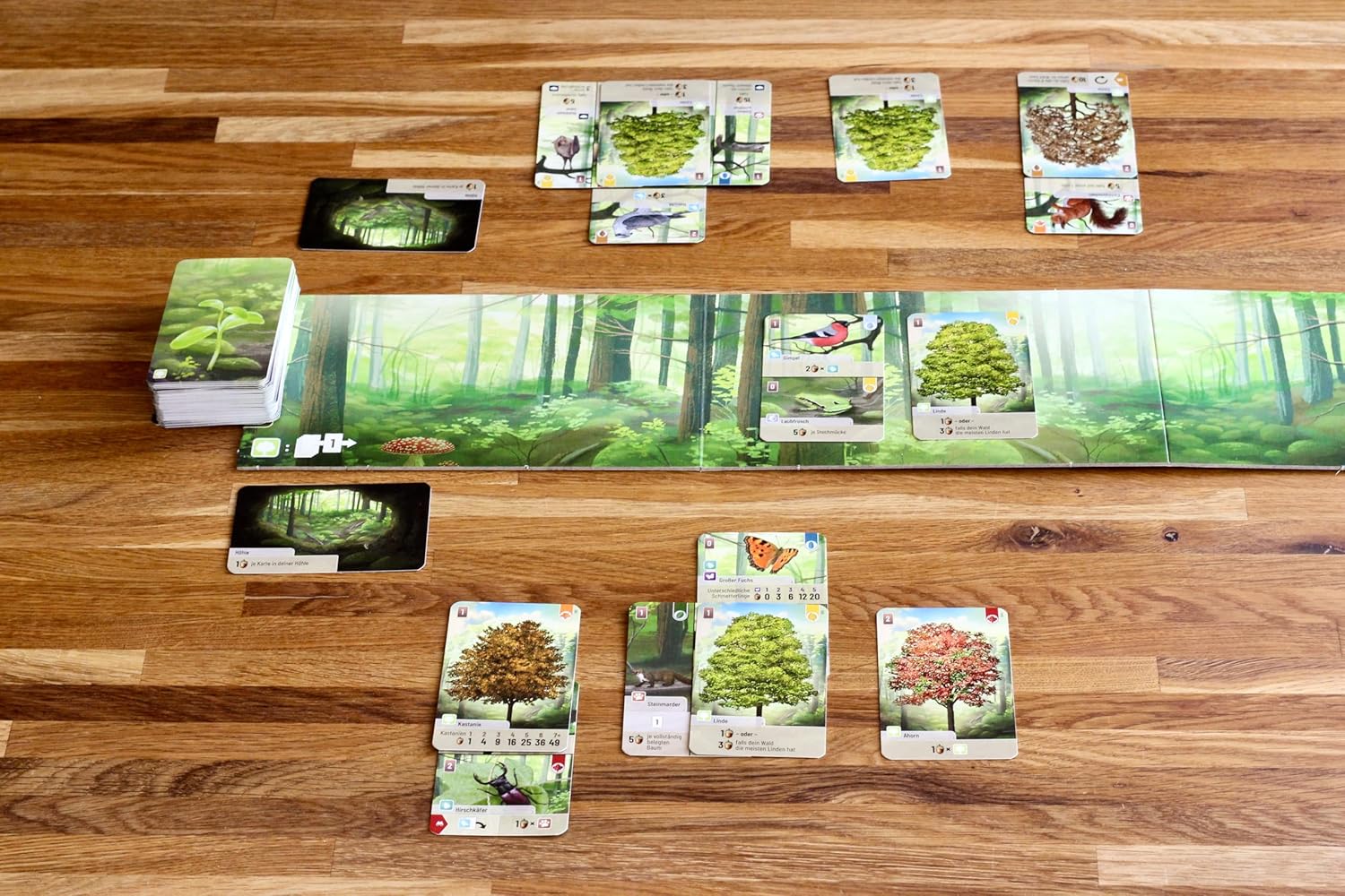 Forest Shuffle Card Game