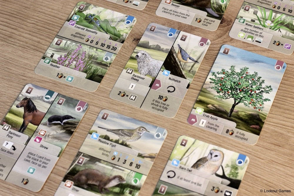 Forest Shuffle: Dartmoor Card Game